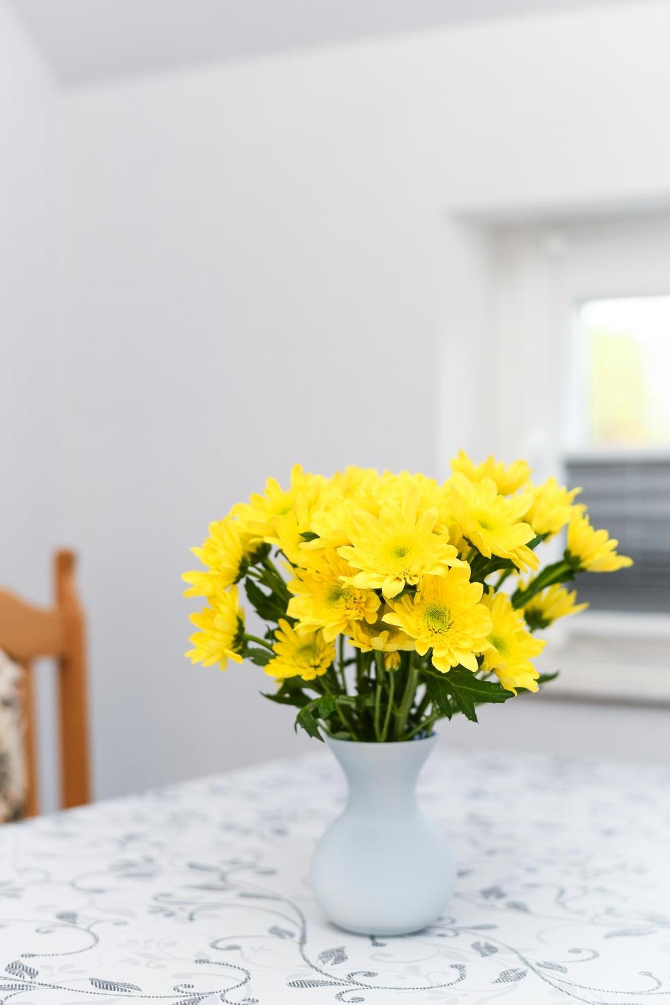 Ferienwohnung Nordmoor Blomberg  Eksteriør bilde